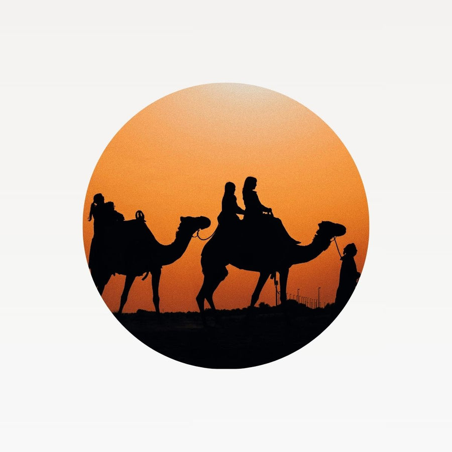 1 — Desert Tours