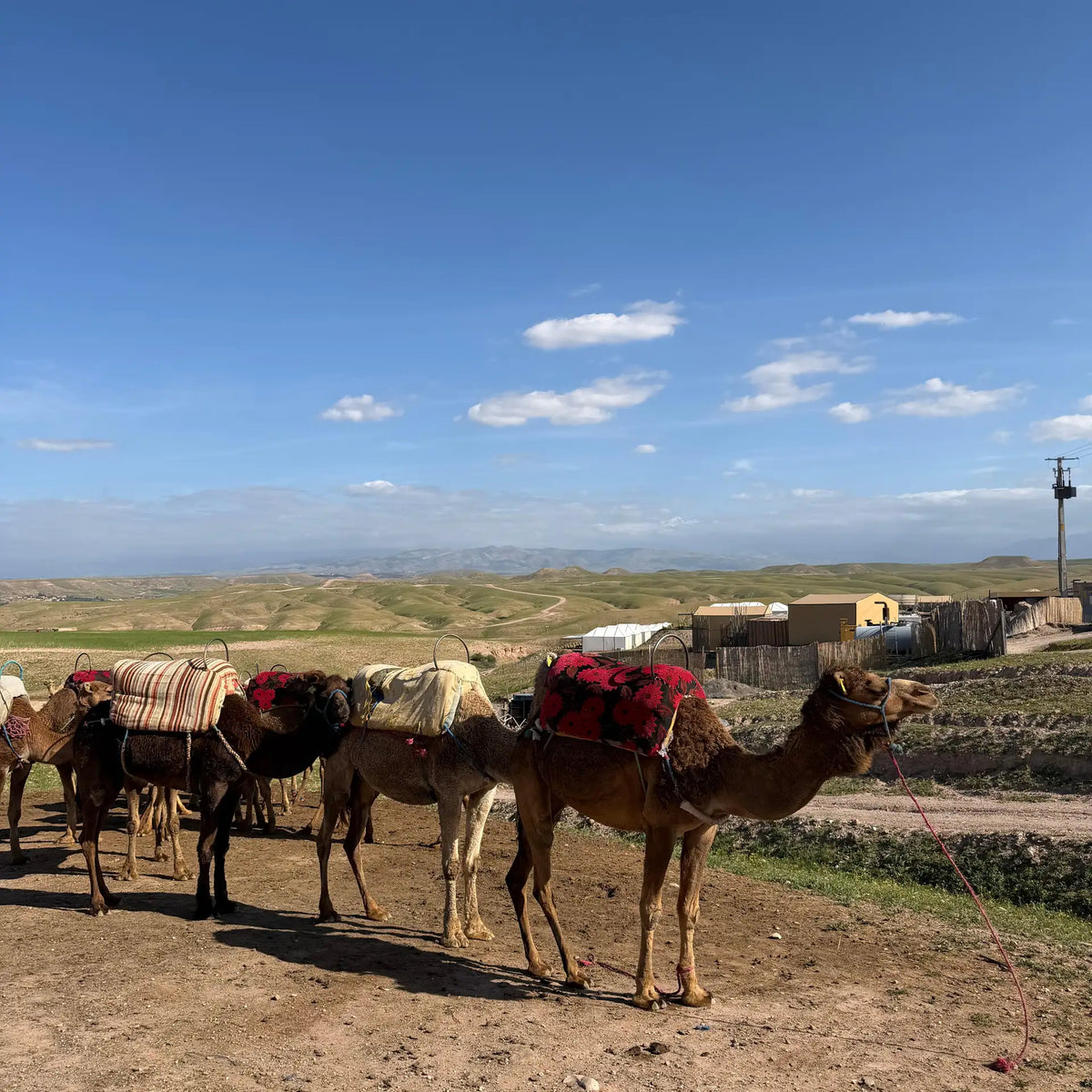 Agafay Desert Day Trip from Marrakech with Camel Ride & Lunch