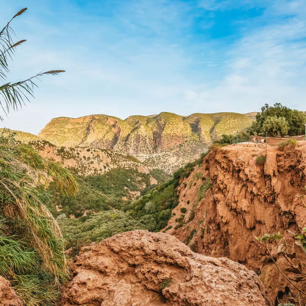 Ouzoud Waterfalls Day Trip from Marrakech