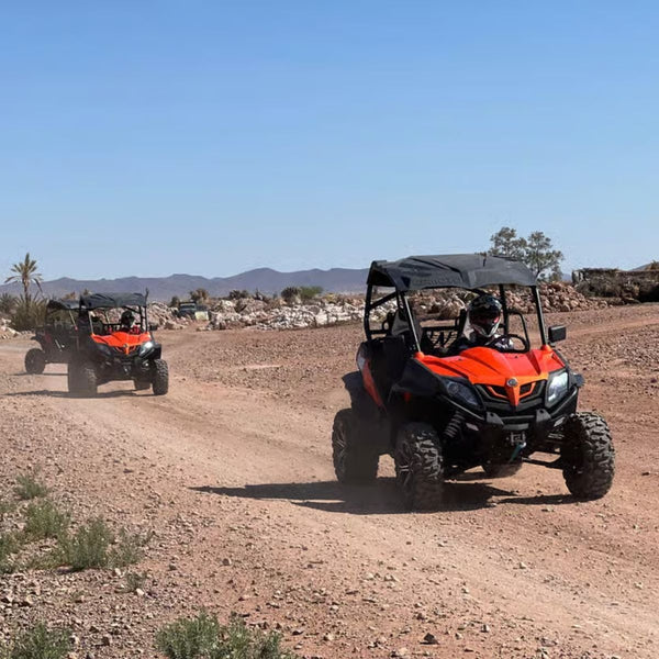Buggy 2h + transport palmerie Pilote