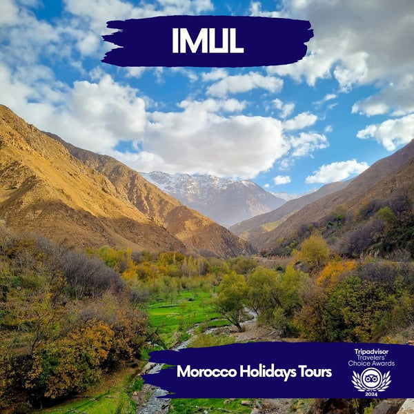 Imlil Day Trip from Marrakech with Guide & Berber Lunch