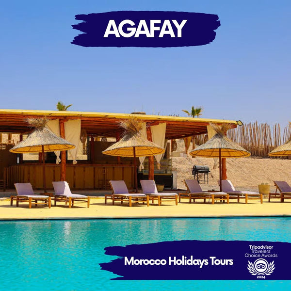 Agafay Adventure – 40-Min Quad & 20-Min Camel Ride with Special Dinner + Transport