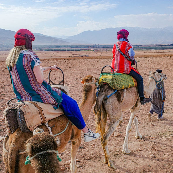 Agafay Adventure – 40-Min Quad & 20-Min Camel Ride with Special Dinner + Transport