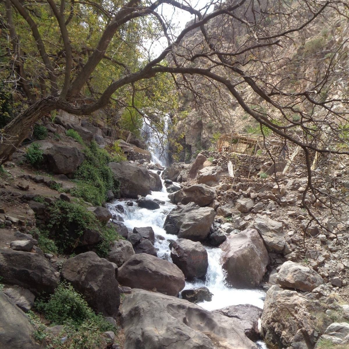 Imlil Day Trip from Marrakech with Guide & Berber Lunch