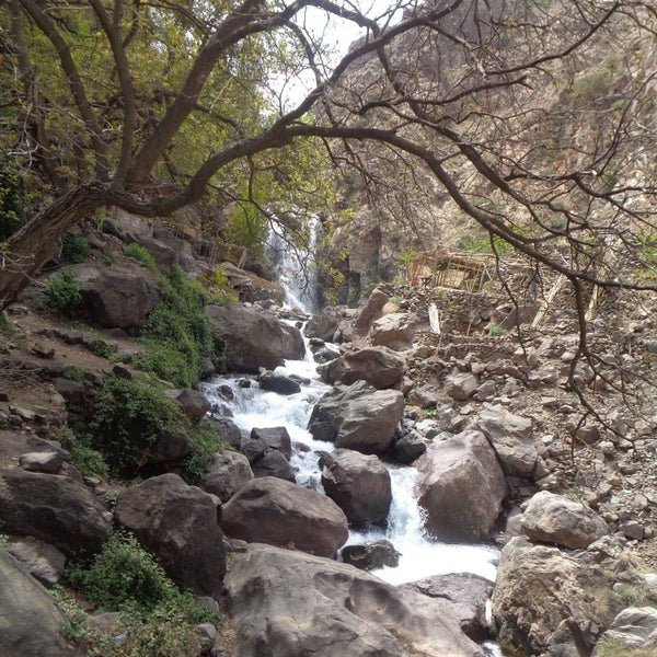 Imlil Day Trip from Marrakech with Guide & Berber Lunch