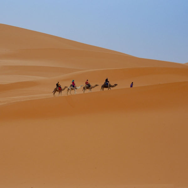 Merzouga Desert Tour (3 days- 2 night )