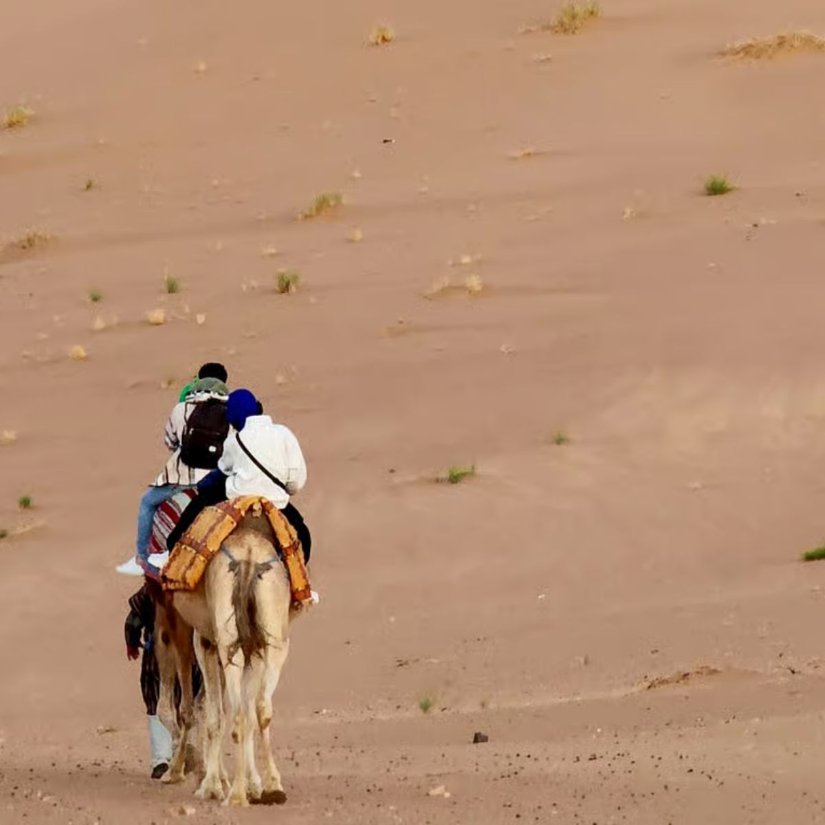 Zagora Desert Tour (2 days- 1 night )