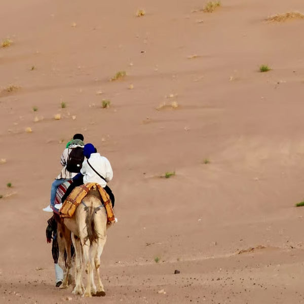 Zagora Desert Tour (2 days- 1 night )