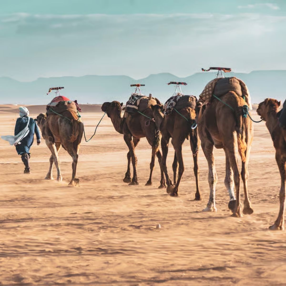 Zagora Desert Tour (2 days- 1 night )