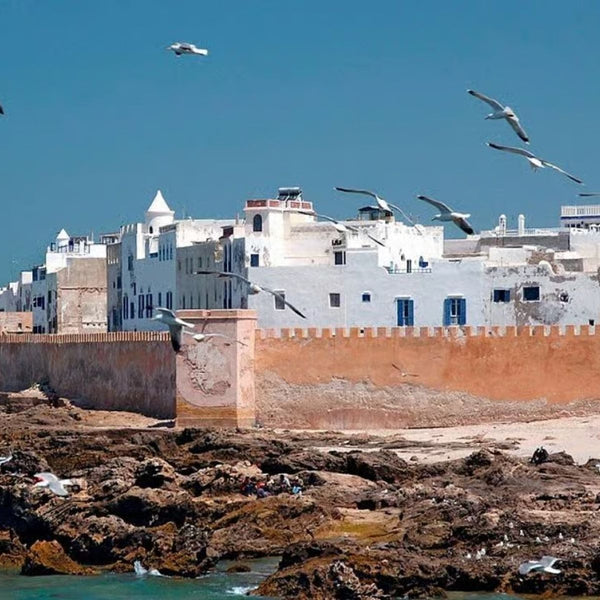 Essaouira Day Trip from Marrakech