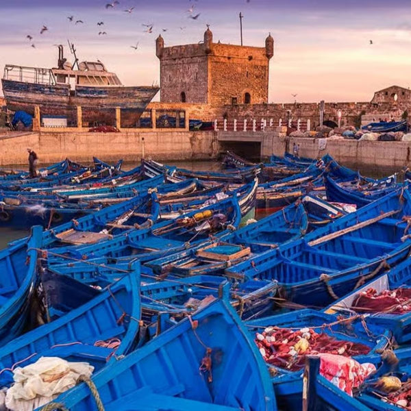 Essaouira Day Trip from Marrakech