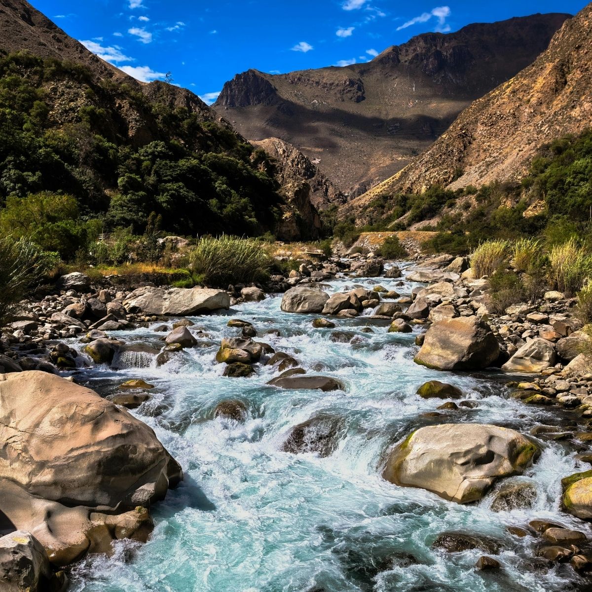 Imlil Day Trip from Marrakech with Guide & Berber Lunch